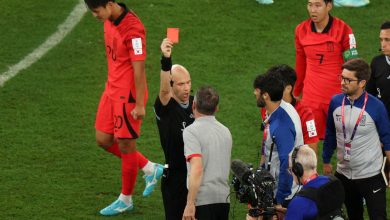 World Cup 2022: South Korea Coach, Paulo Bento gets red card at the end of match