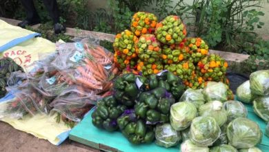 New food items on sale - Agric Ministry tells Ghanaians [Photos]