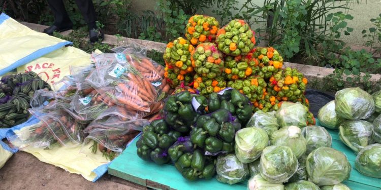 New food items on sale - Agric Ministry tells Ghanaians [Photos]