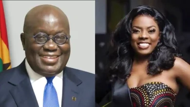 Nana Aba bets on Akufo-Addo's innocence over Meek Mill's Jubilee House video