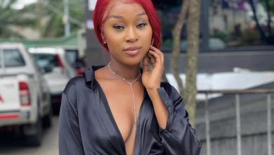 My music fanbase will be called ‘Odofour’ – Efia Odo discloses