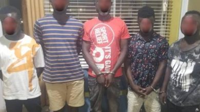 Police arrest 12 suspected criminals for carjacking, robbery and murder