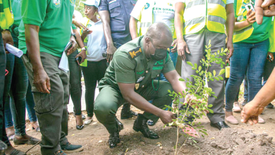 Green Ghana 2023: Ten million trees to be planted this year