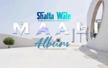 fans-react-to-shatta-wales-maali-album