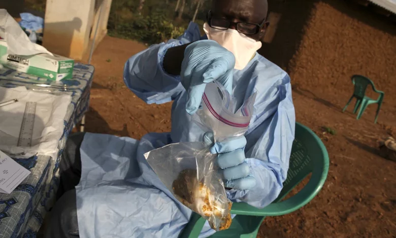 Lassa Fever: GMA cautions public over its spread, gives precautionary measures