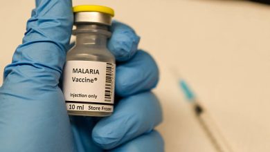 Ghana first to approve Oxford's malaria vaccine