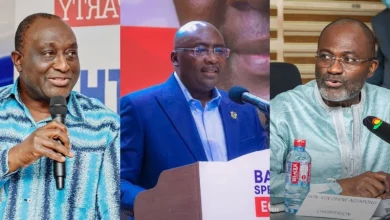 NPP to hold presidential primaries on November 4