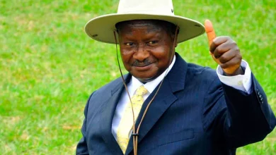 Uganda's President Museveni passes anti-gay bill into law