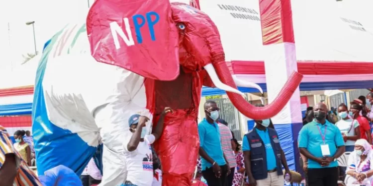 NPP opens nomination for presidential primaries today