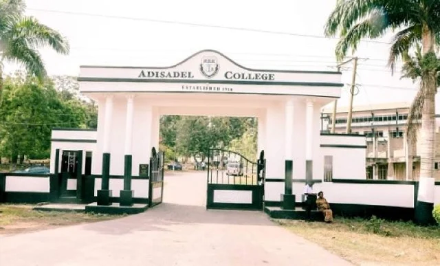 Adisco: Student in assault video arrested, cautioned on causing harm and assault