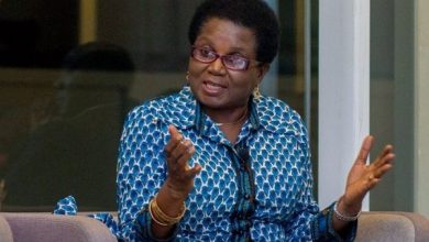 Cecilia Dapaah saga: 'It's best to keep your monies in obscure places from thieves' - Elizabeth Ohene writes