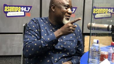 I'll still vote for Alan and he will win 2024 polls - Hopeson Adorye