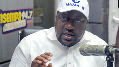 We’re preparing for NPP’s parliamentary primaries – Nana B