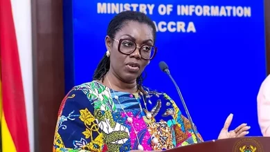 Anti-gay bill: 'Sex toys should not be criminalised' - Ursula Owusu-Ekuful