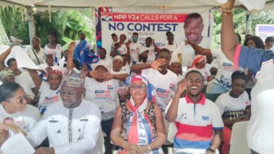 NPP primaries: 17 disqualified, 33 to go unopposed